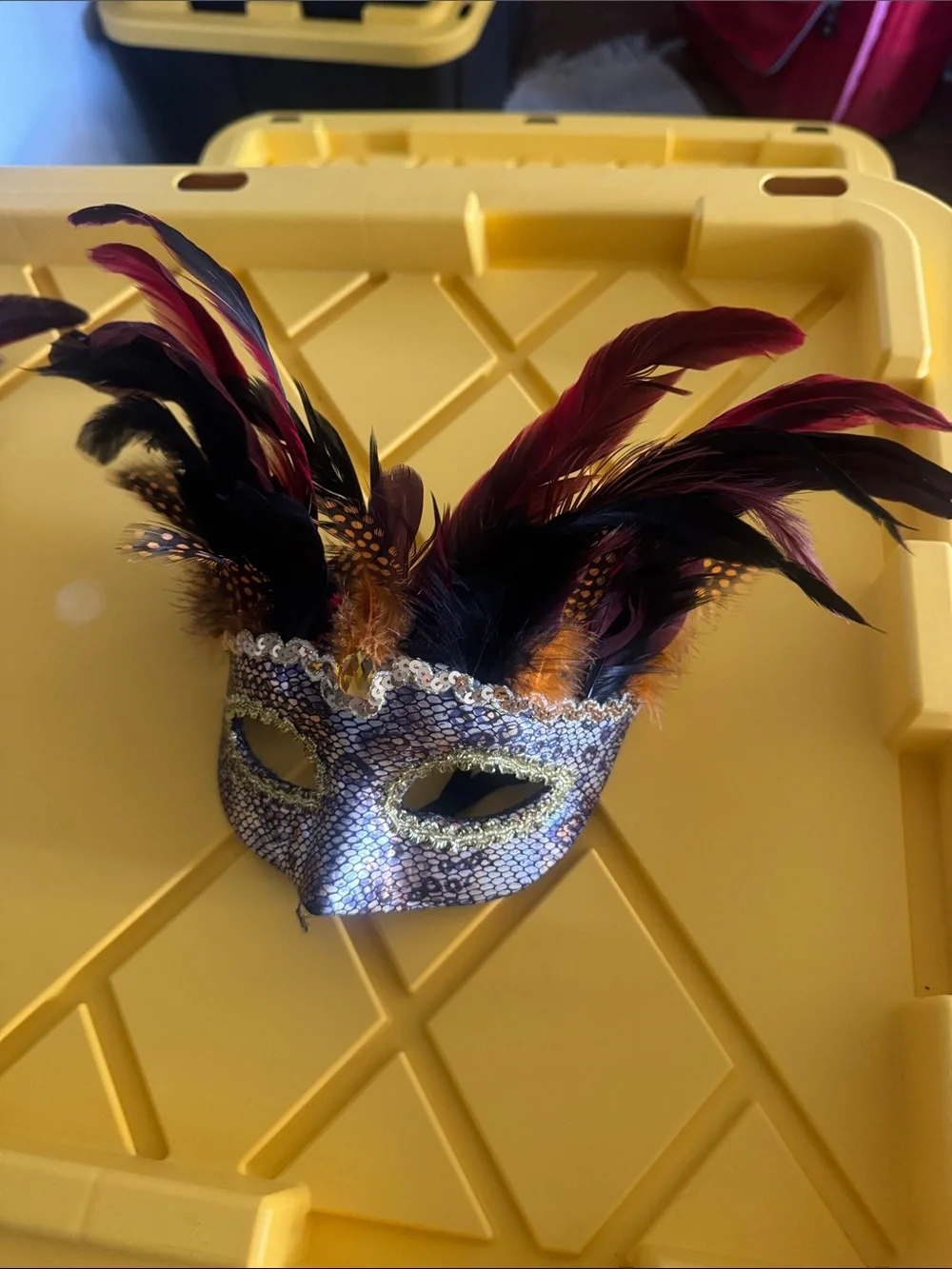 Feathered Venetian Mask Party Mask in Black and Gold